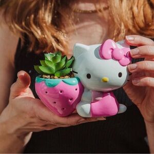 Sanrio Hello Kitty Strawberry Planter